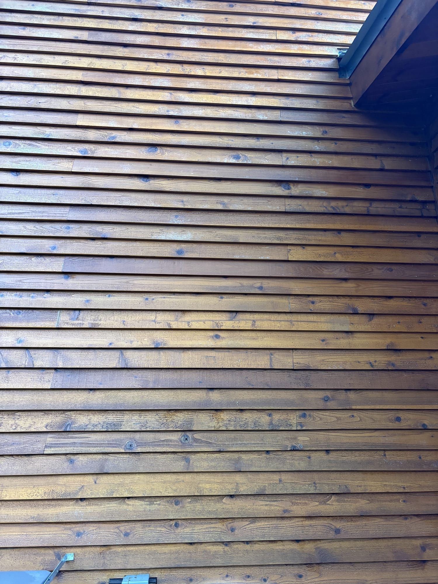 House exterior siding after Rainlife Washing soft wash