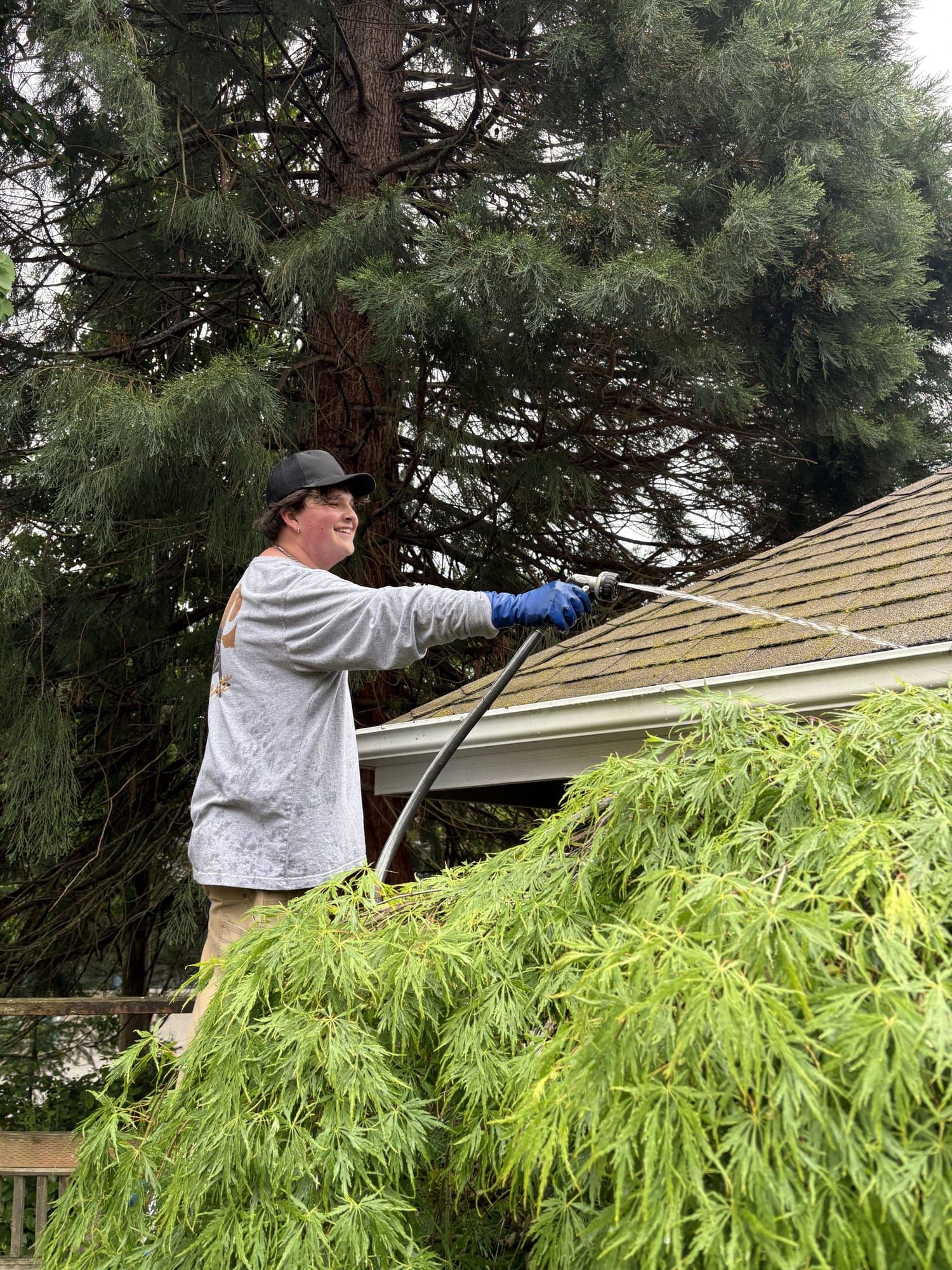 Gutter cleared and flushed by Rainlife Washing