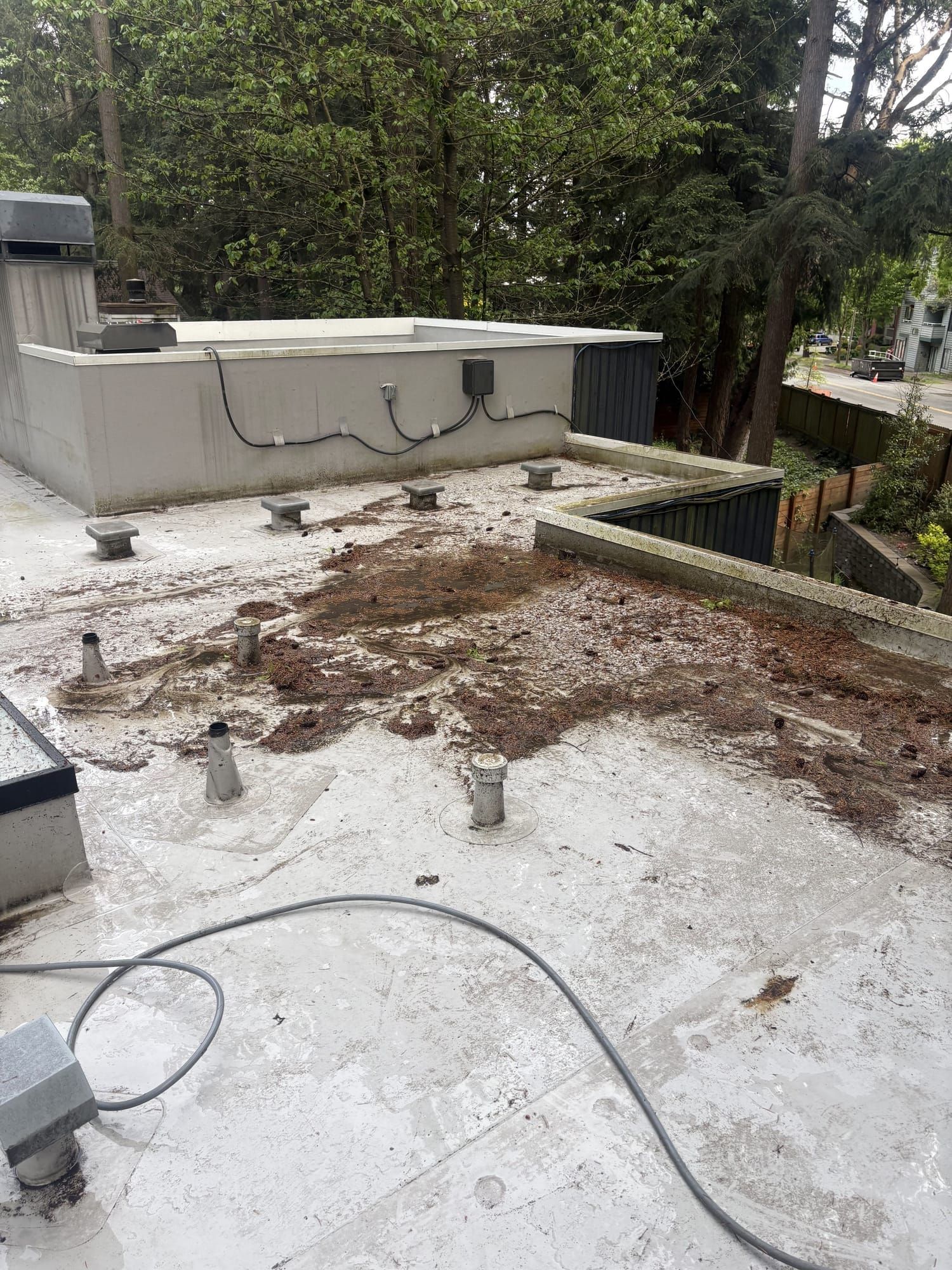 Property before cleaning