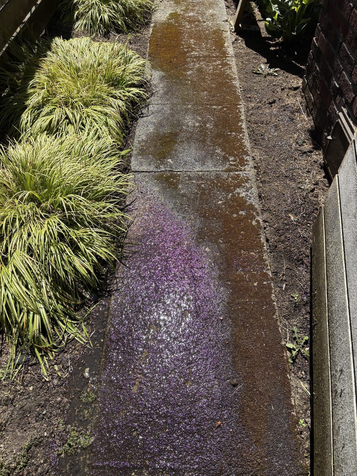Concrete walkway before pressure washing, algae stains visible