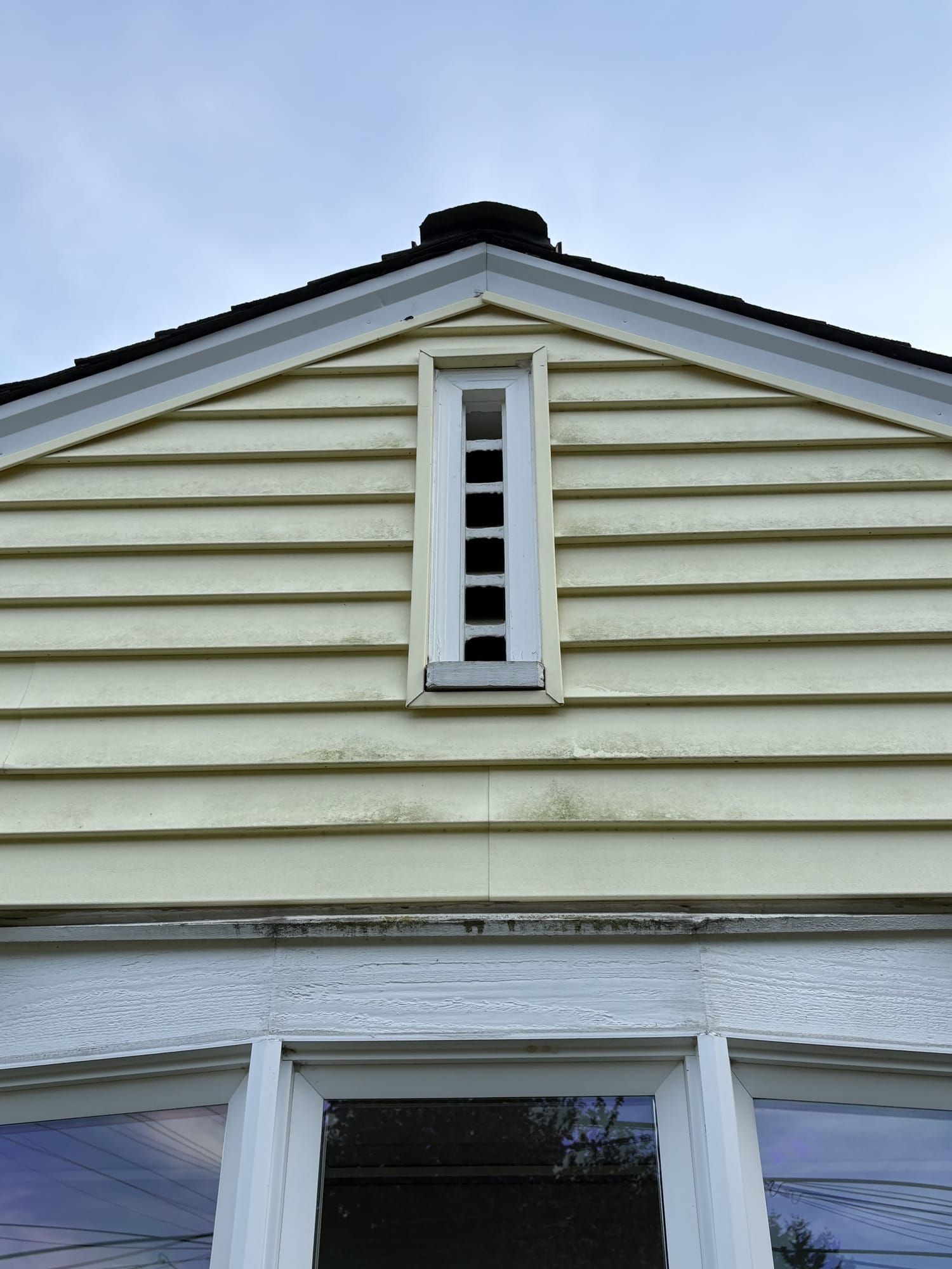 Siding gable before soft wash, algae stains visible