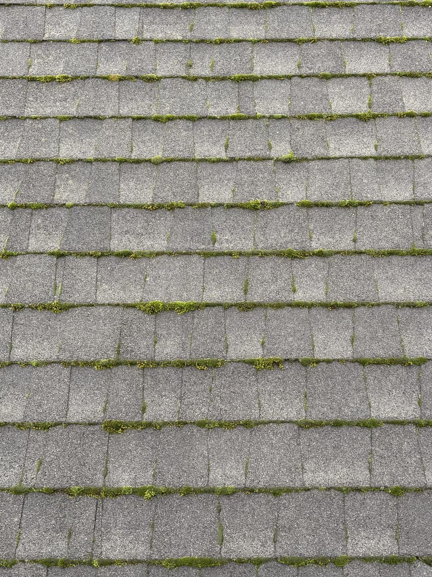 Surface before washing