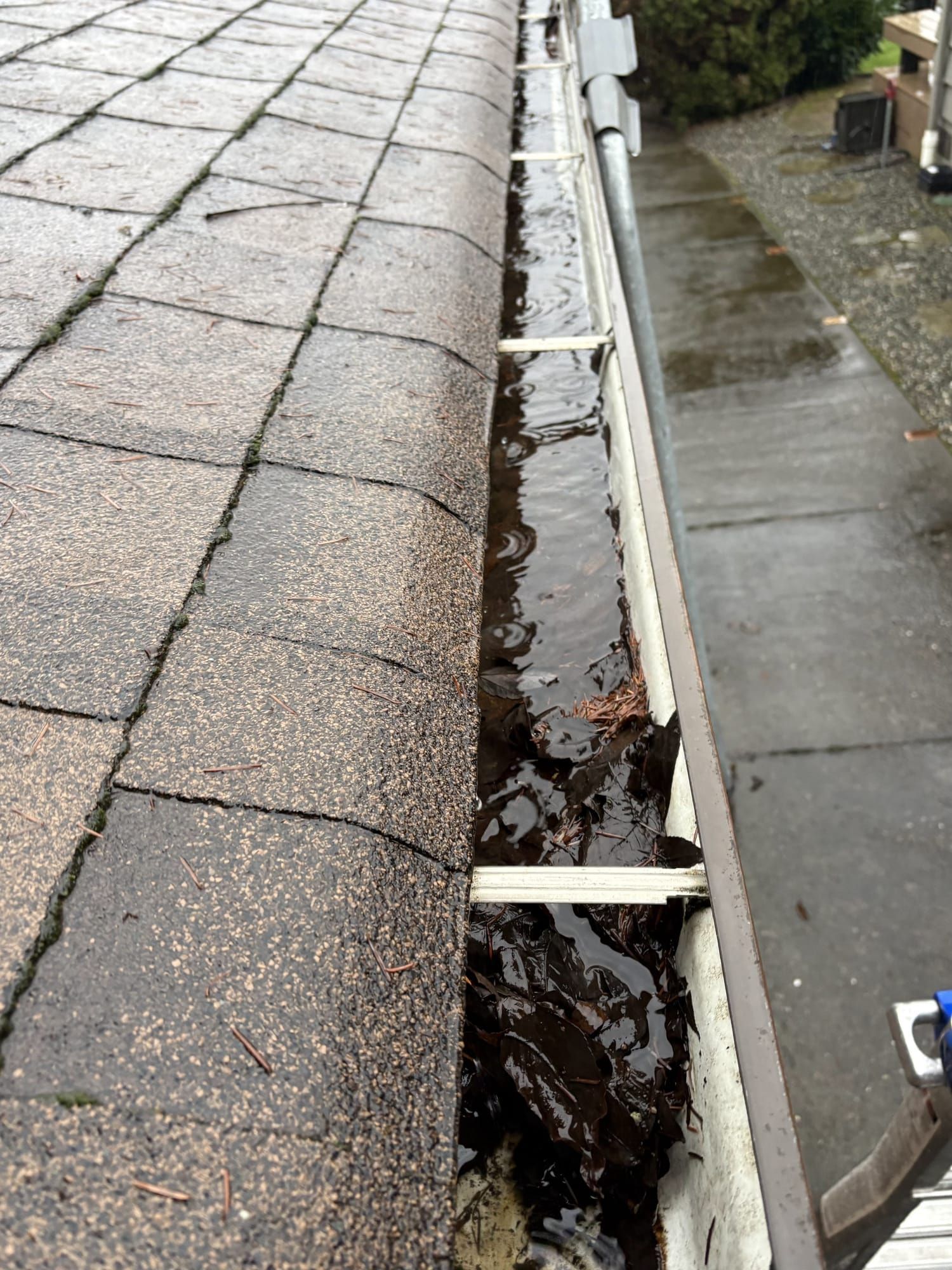 Property before exterior cleaning