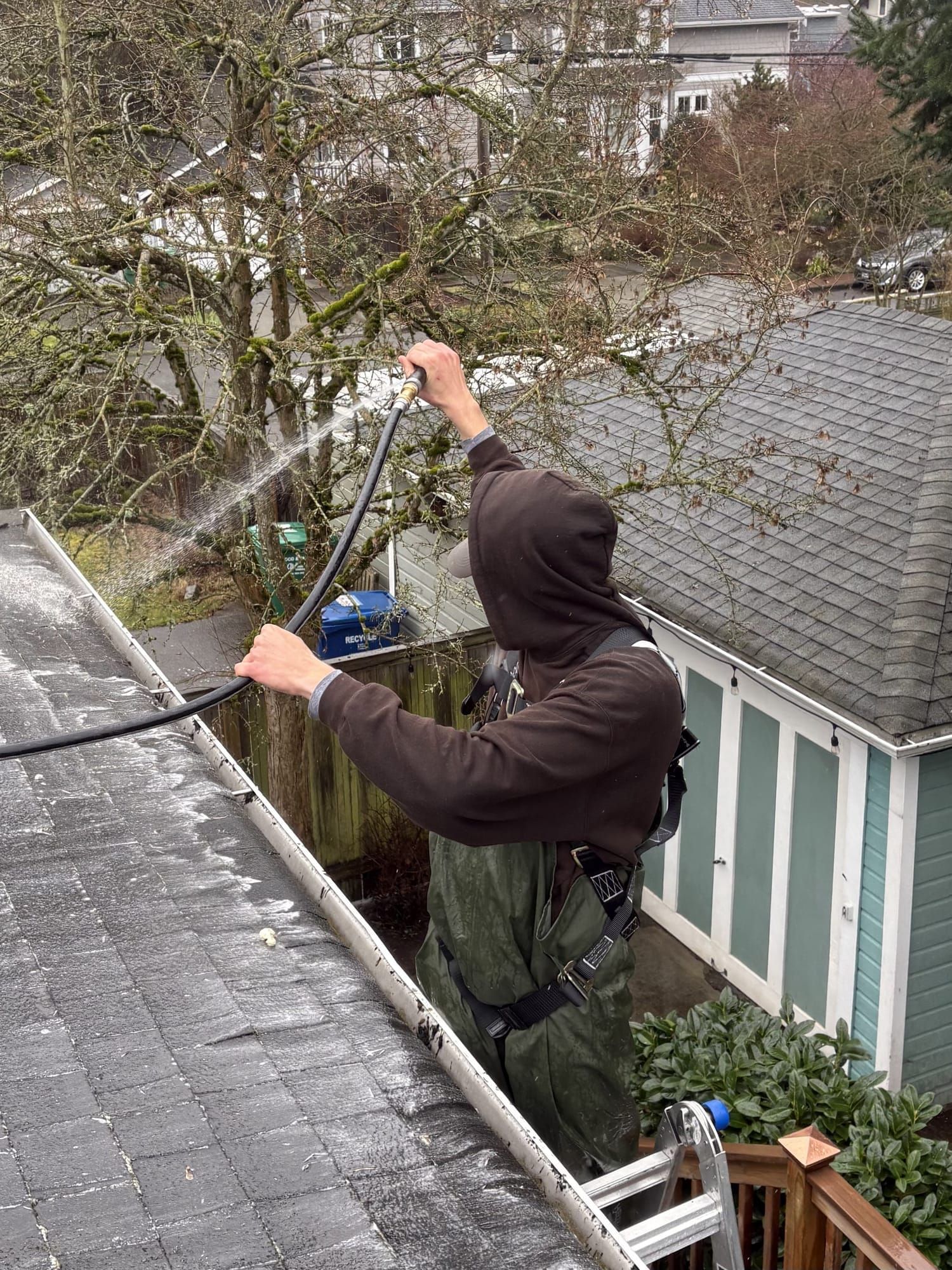 Rainlife Washing job complete in Whatcom County