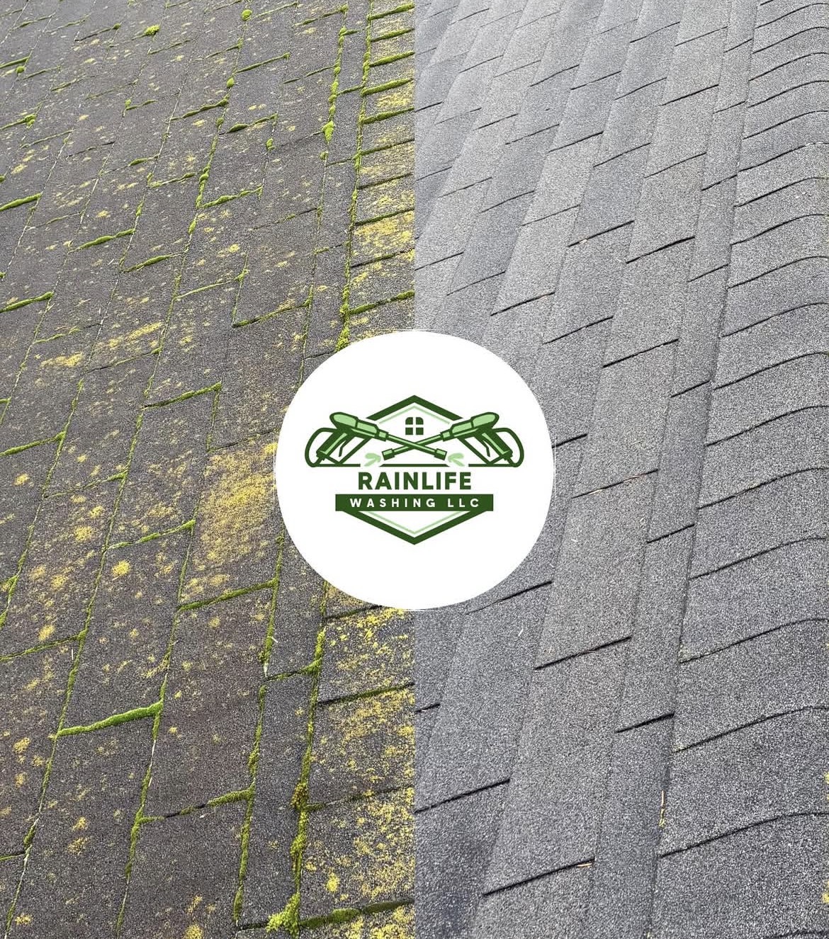 Shingle roof before soft wash — heavy moss and algae growth